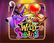 Wild Beans Wild Beans